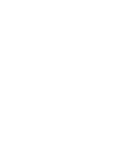 ds1